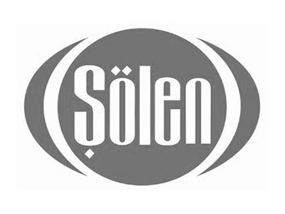 Şölen